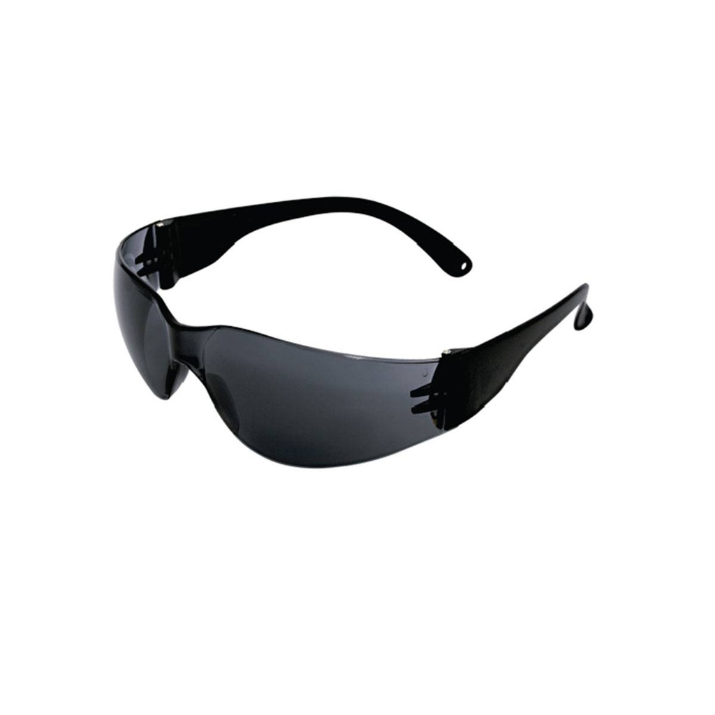 LENTE PC MICA GRIS ANSI