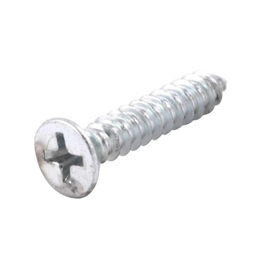 PIJA CABEZA PLANA PHILLIPS GALVANIZADA PUNTA TIPO AB#10 x 1" (Precio x Caja a Granel c/8000piezas)