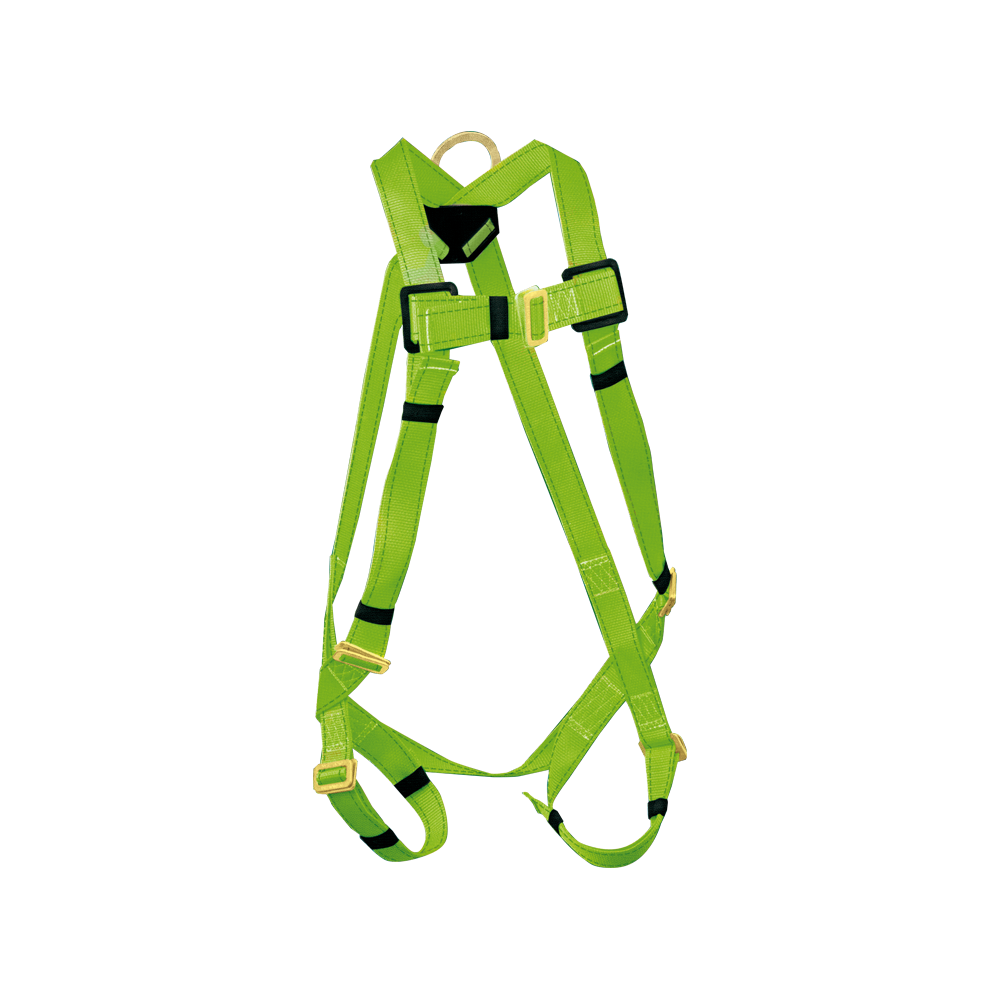 ARNES DE CUERPO COMPLETO	1 ANILLO "D"