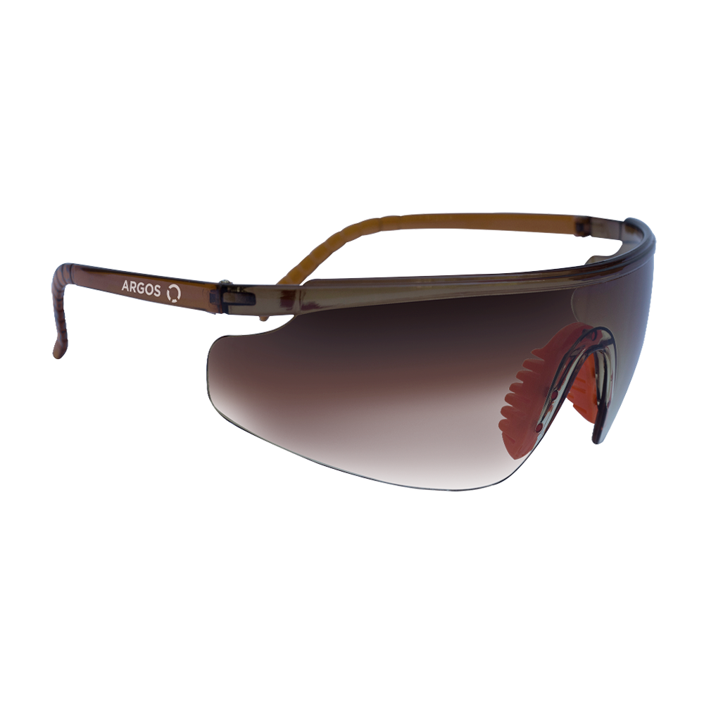 LENTES DE SEGURIDAD OBSCUOS IN/OUT