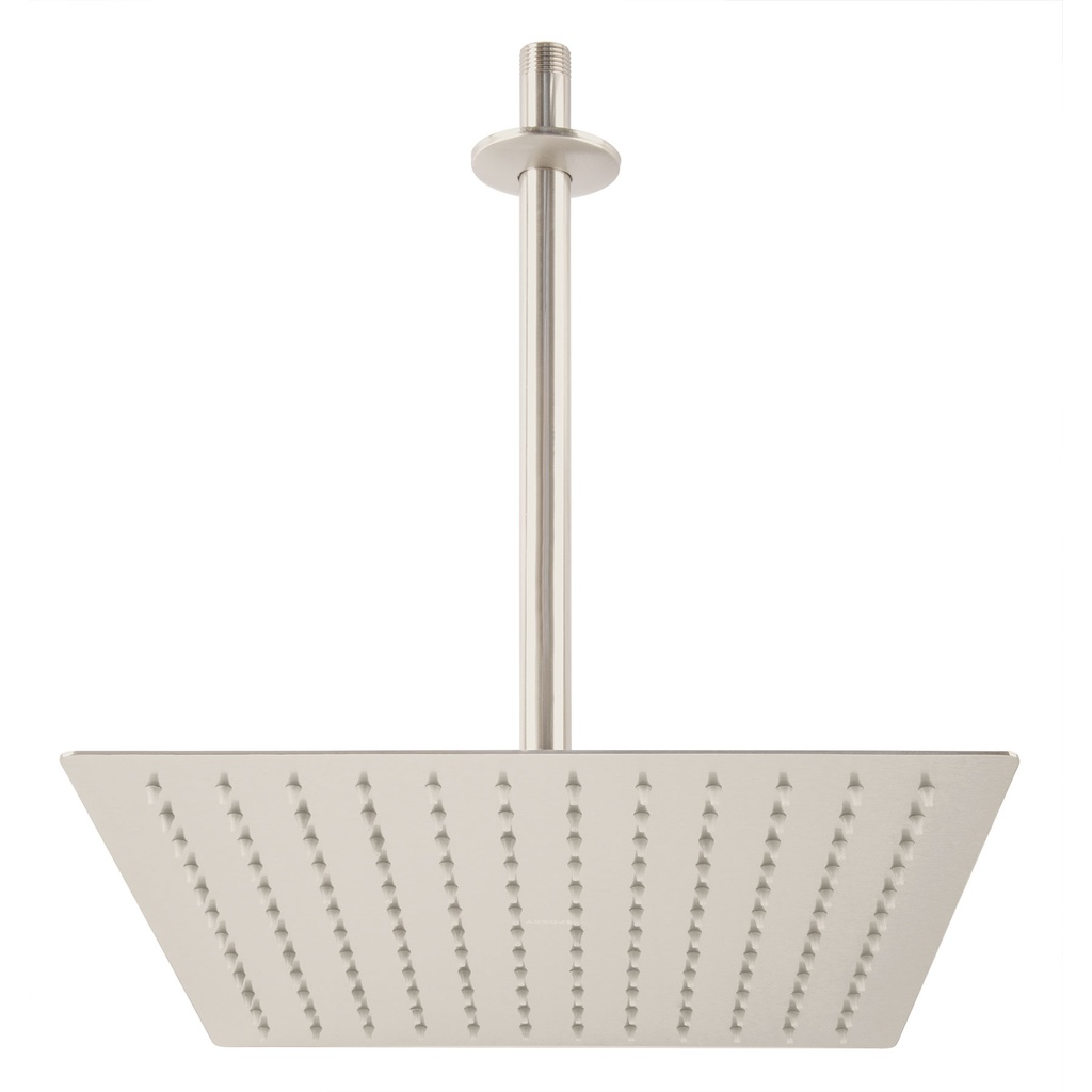 Regadera satin 12' plato cuadrado delgado con brazo, Riviera