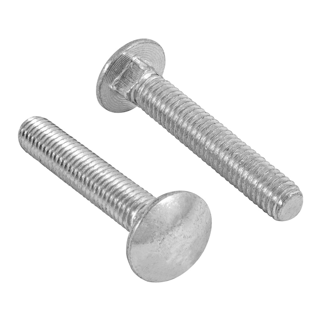 Bolsa con 50 tornillos 3/8' x 2-1/4' tipo coche, Fiero