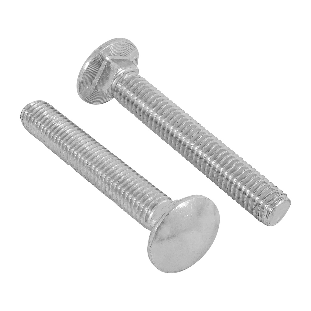 Bolsa con 30 tornillos 7/16' x 3' tipo coche, Fiero