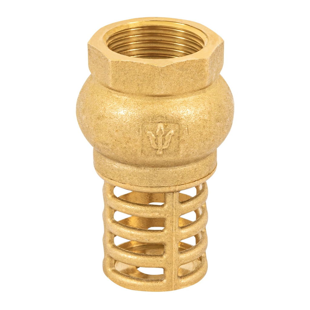 Pichancha con rejilla de laton 3/4', Foset