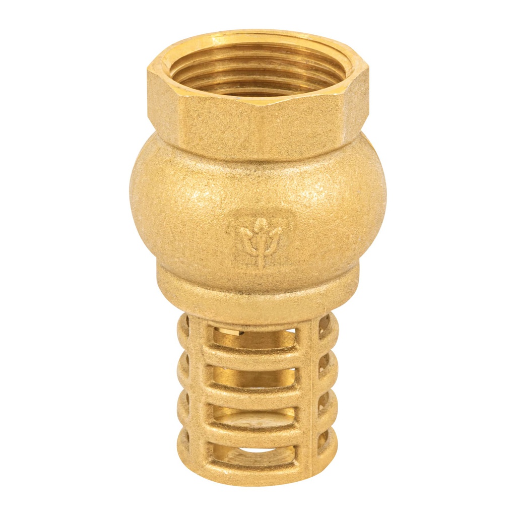 Pichancha con rejilla de laton 1', Foset