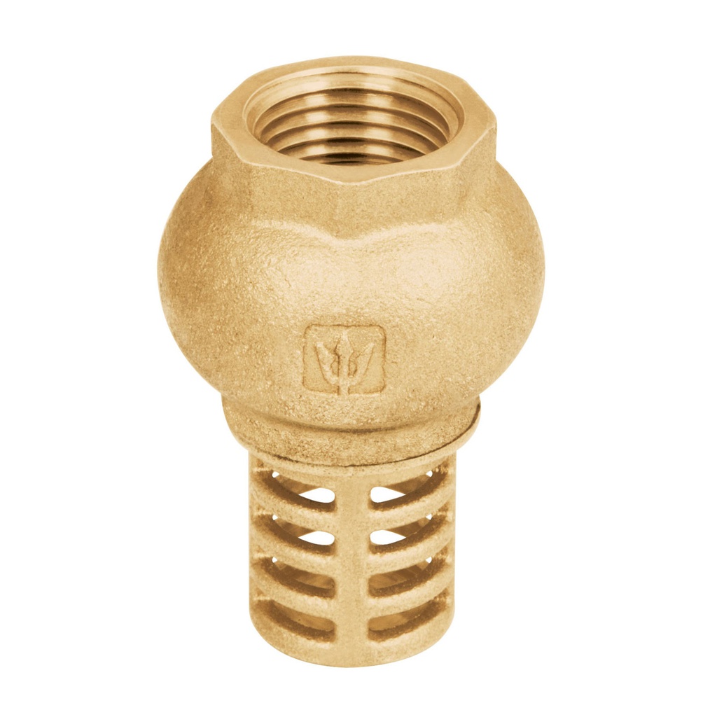 Pichancha tipo check de laton, 1/2', Foset