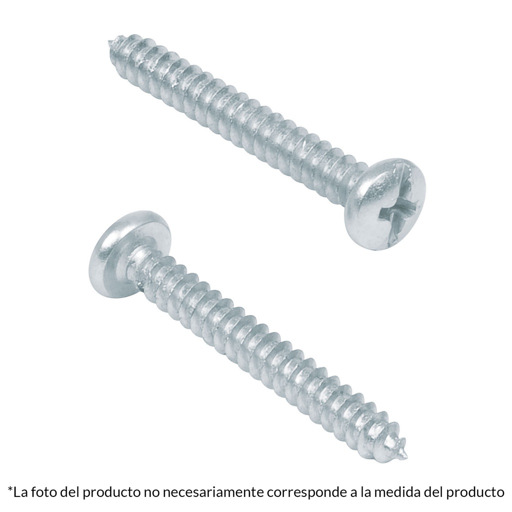 Bolsa con 200 pijas para lamina, #8 x 5/8', Fiero