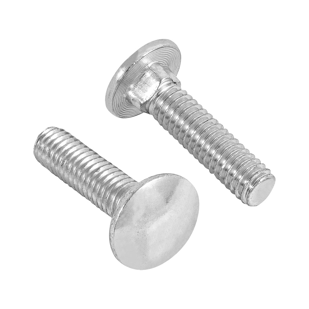 Bolsa con 60 tornillos 5/16' x 1-1/4' tipo coche, Fiero