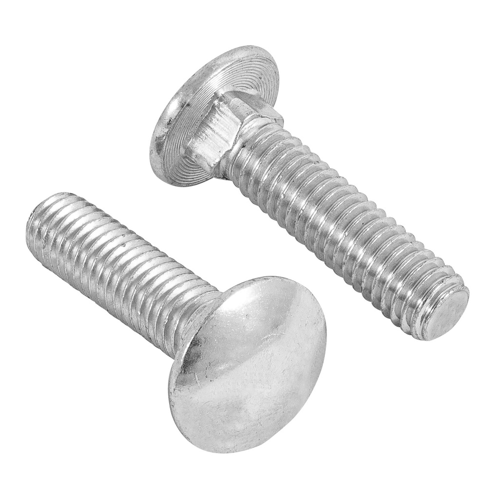 Bolsa con 70 tornillos 3/8' x 1-1/2' tipo coche, Fiero