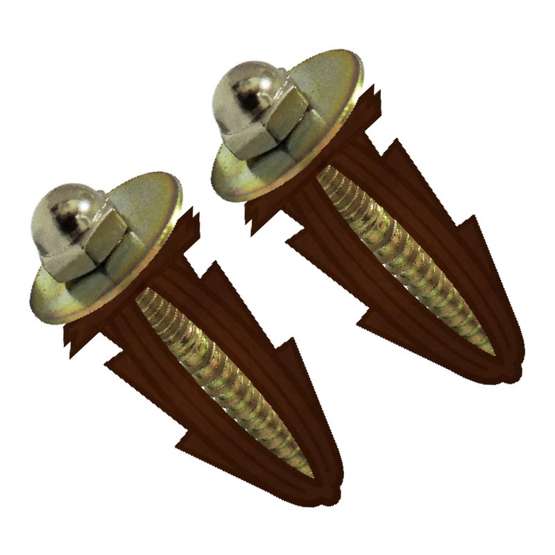 Tornillos Pija Para WC Con Taquetes en Bolsita  (9759)