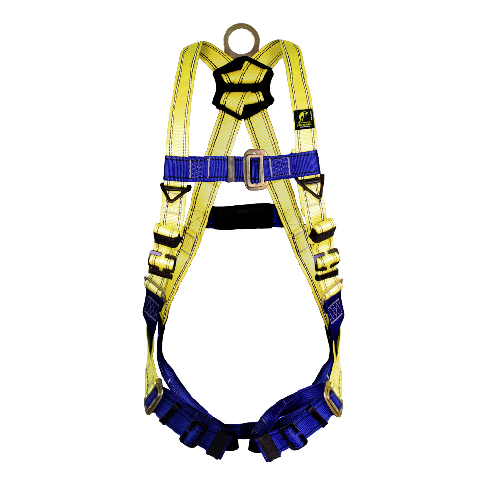 ARNES CON ANILLO D EN ESPALDA.