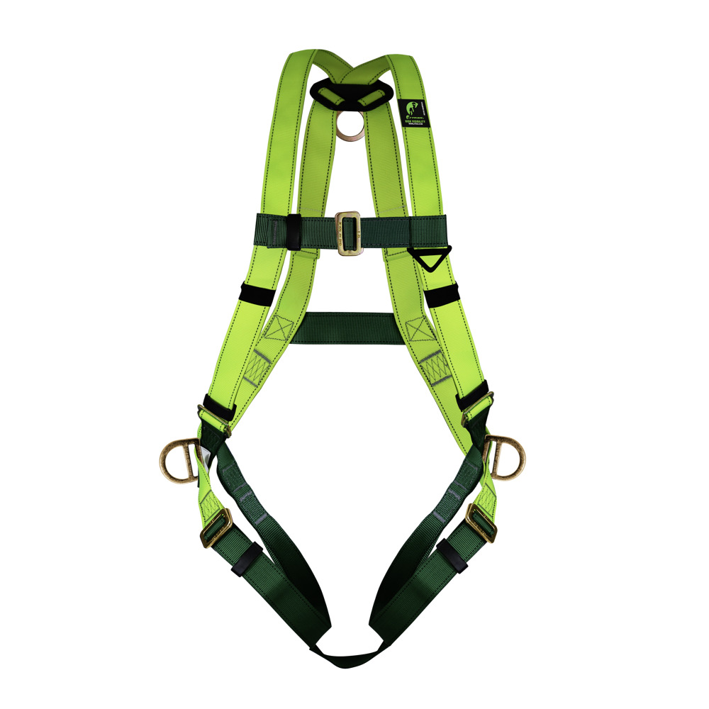 ARNES CON ANILLO D EN COSTADOS Y ESPALDA.