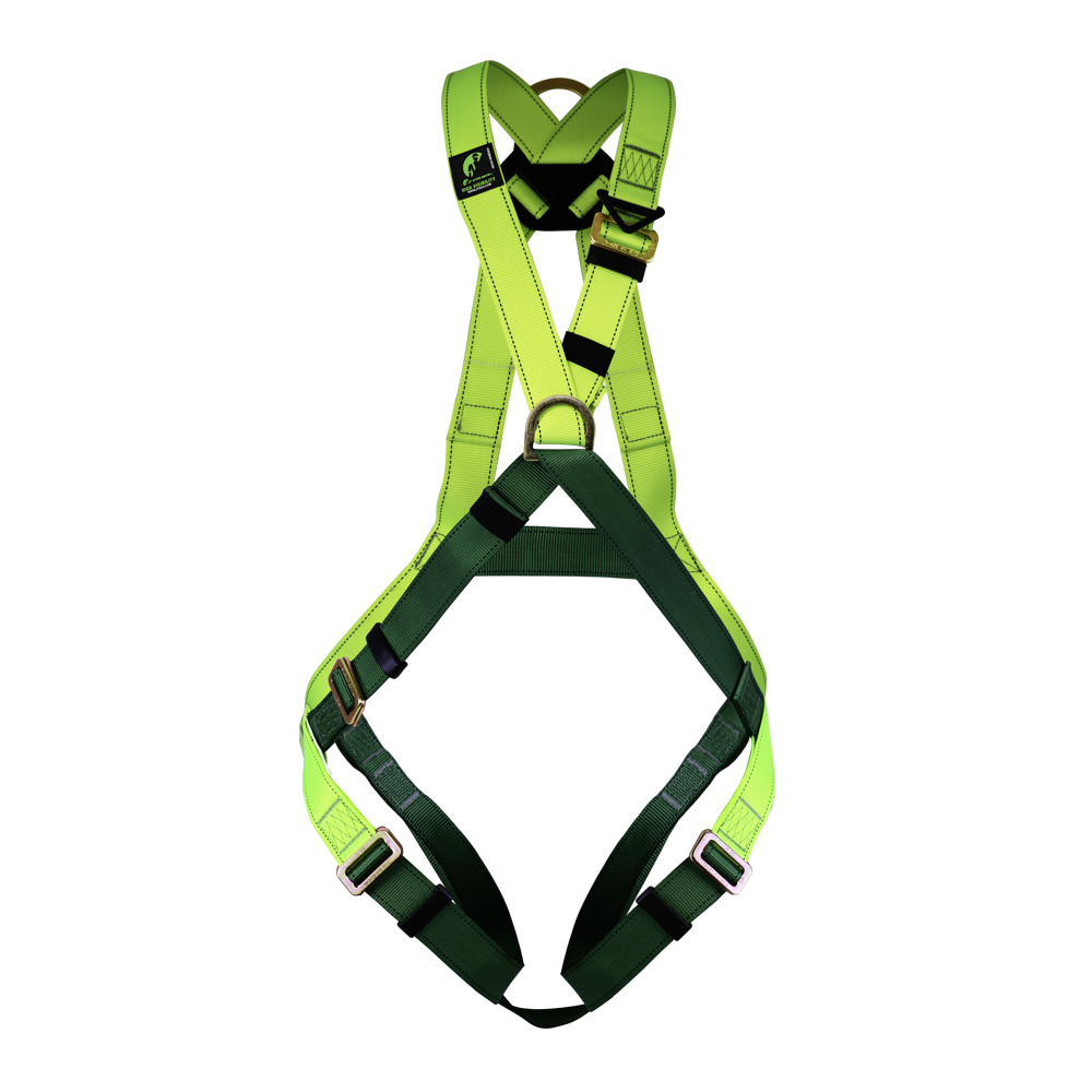 ARNES CON ANILLO D EN ESPALDA Y PECHO BANDA VERDE