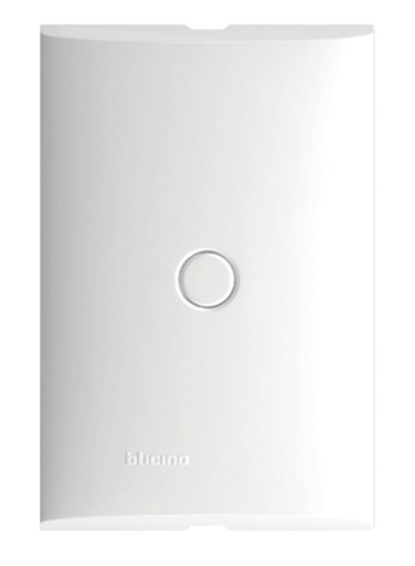 FORZA  PLACA BLANCA  CIEGA