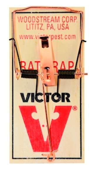 TRAMPA PARA RATON MADERA GRANDE XHOC71274