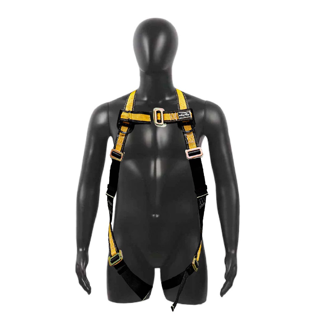 ARNES NYLON 1 ARG (ESPALDA)