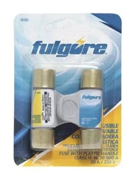 [FU1031] FUSIBLES 30A CON AGARRADERA JUEGO 2 PIEZAS