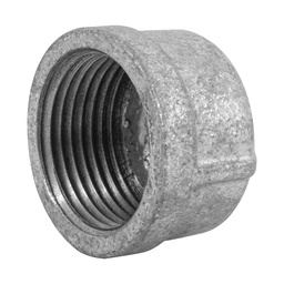 [47493] Tapon hembra 1' de acero galvanizado, Foset