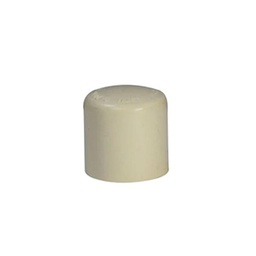 [C12 25] TAPON CPVC 25MM