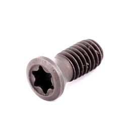 [SA-290-0440] TORNILLO M4X10 P/PORTA INSERTO CCMT09T3 /CCMT09T0308