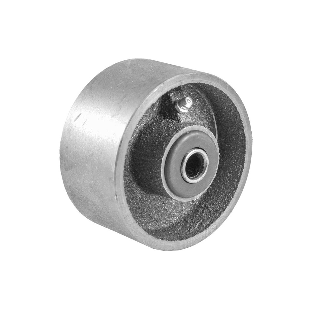 RUEDA FIERRO C/BALERO 5X2"