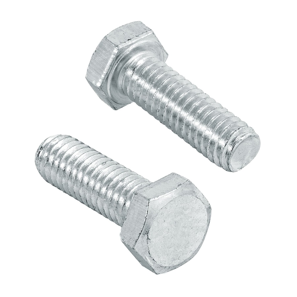 Bolsa con 60 tornillos 5/16' x 1' tipo maquina, Fiero