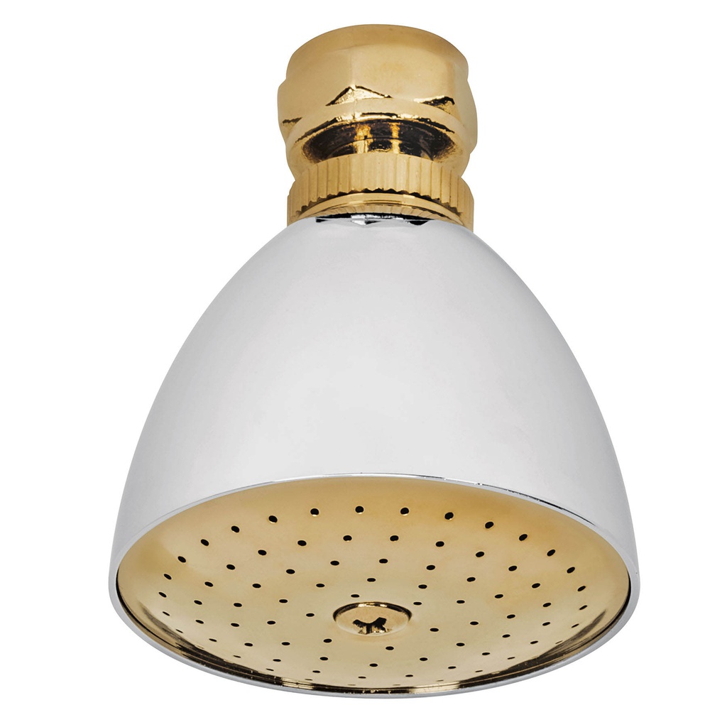 Regadera conica 2-1/2' cromo-oro sin brazo, Foset Aqua