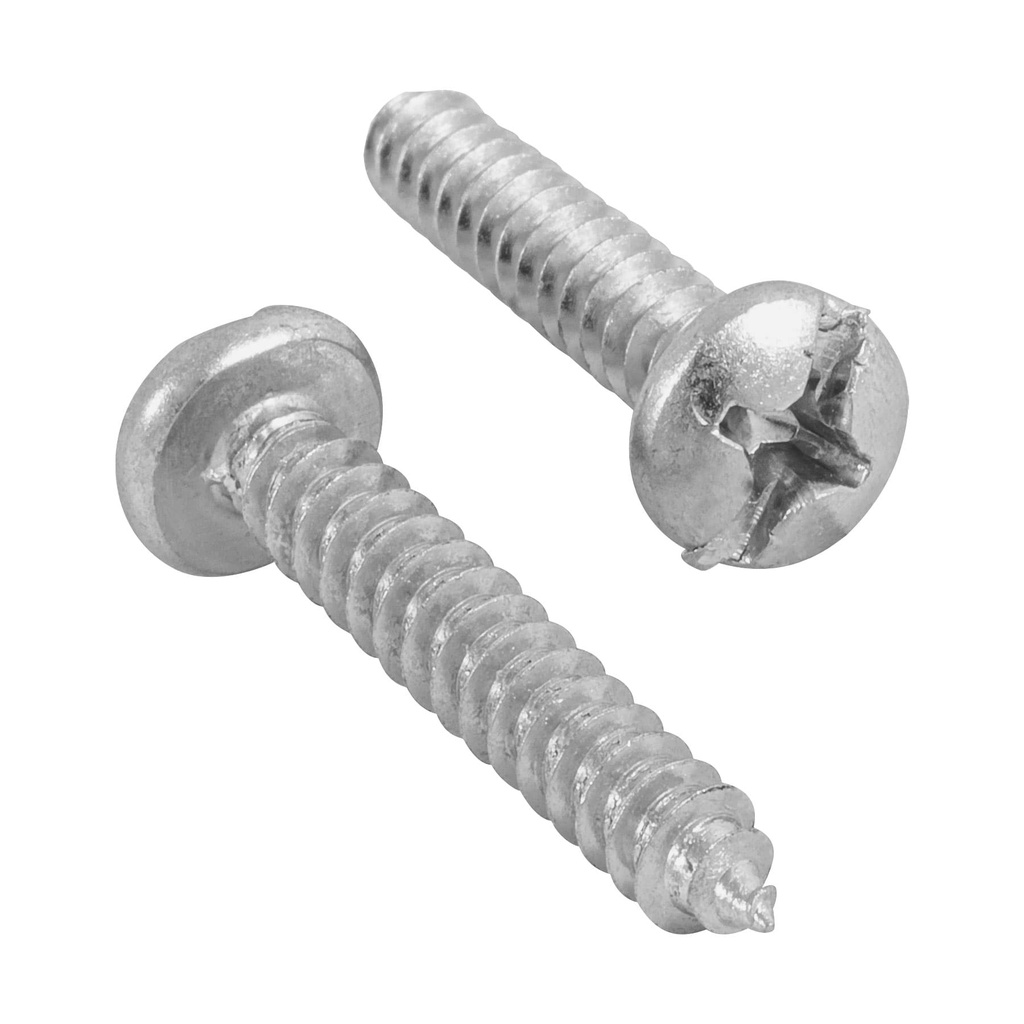 Bolsa con 100 pijas para lamina, #12 x 1-1/4', Fiero