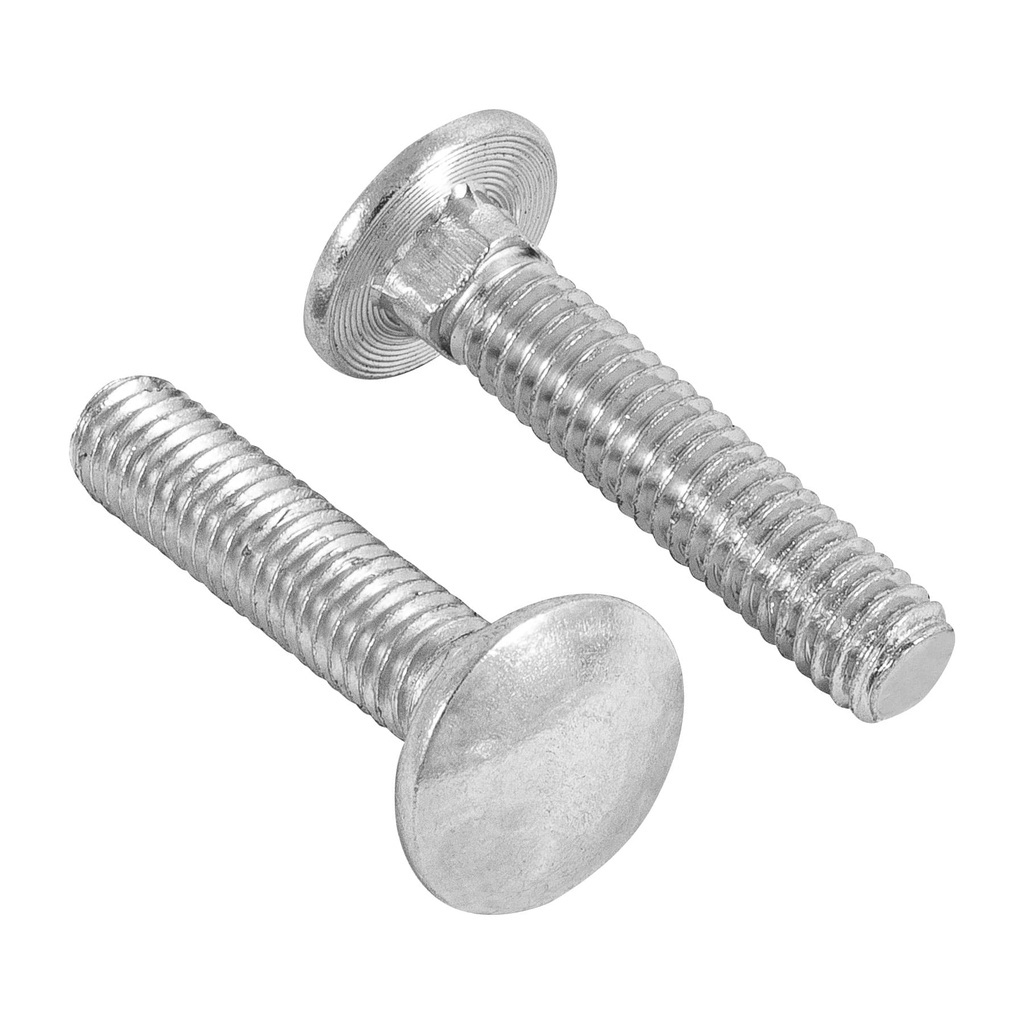 Bolsa con 50 tornillos 5/16' x 1-1/2' tipo coche, Fiero