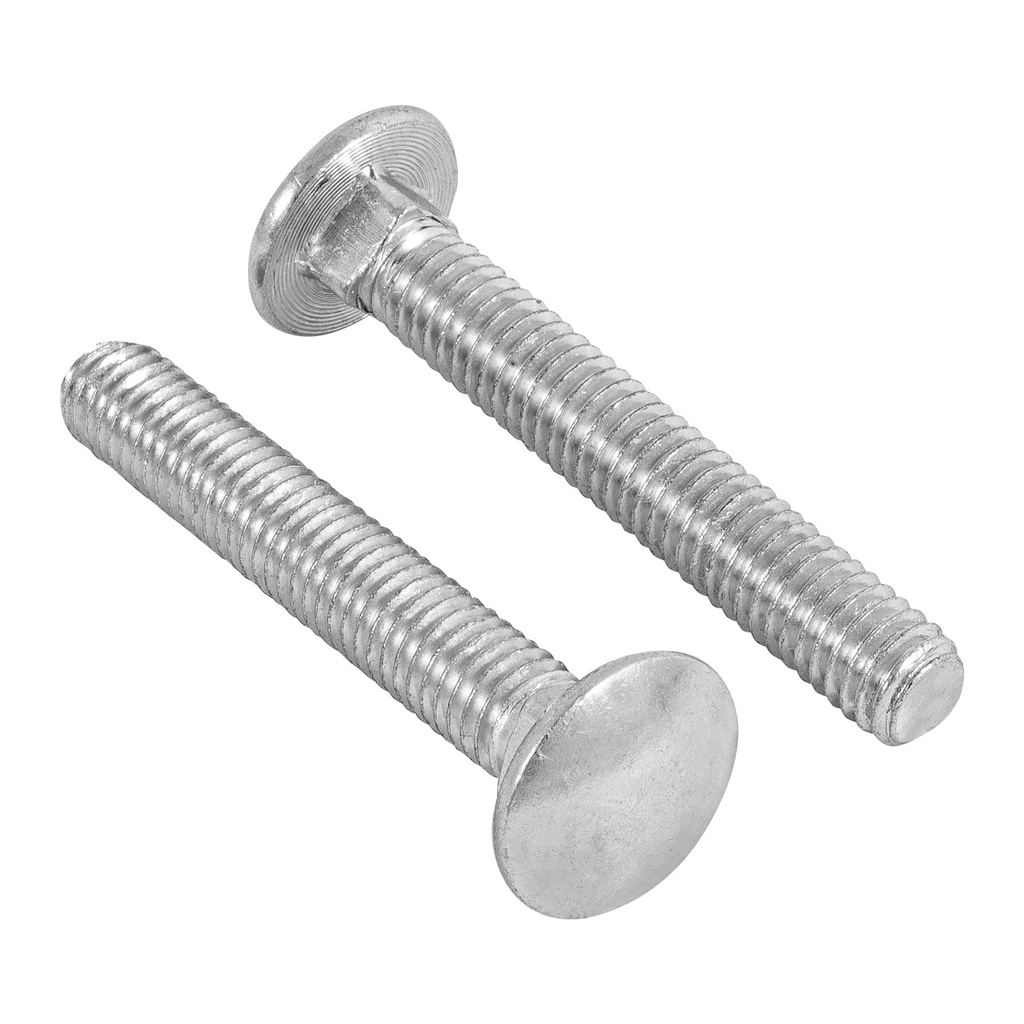 Bolsa con 50 tornillos 3/8' x 2-1/2' tipo coche, Fiero