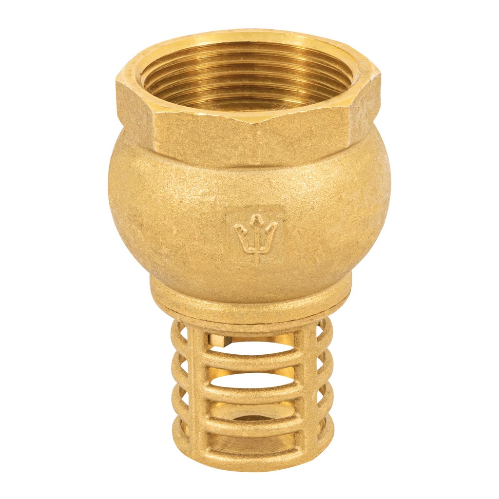 Pichancha con rejilla de laton 1-1/4', Foset