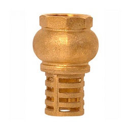 [VPP 19] 19MM.VALVULA DE PIE PICHANCHA